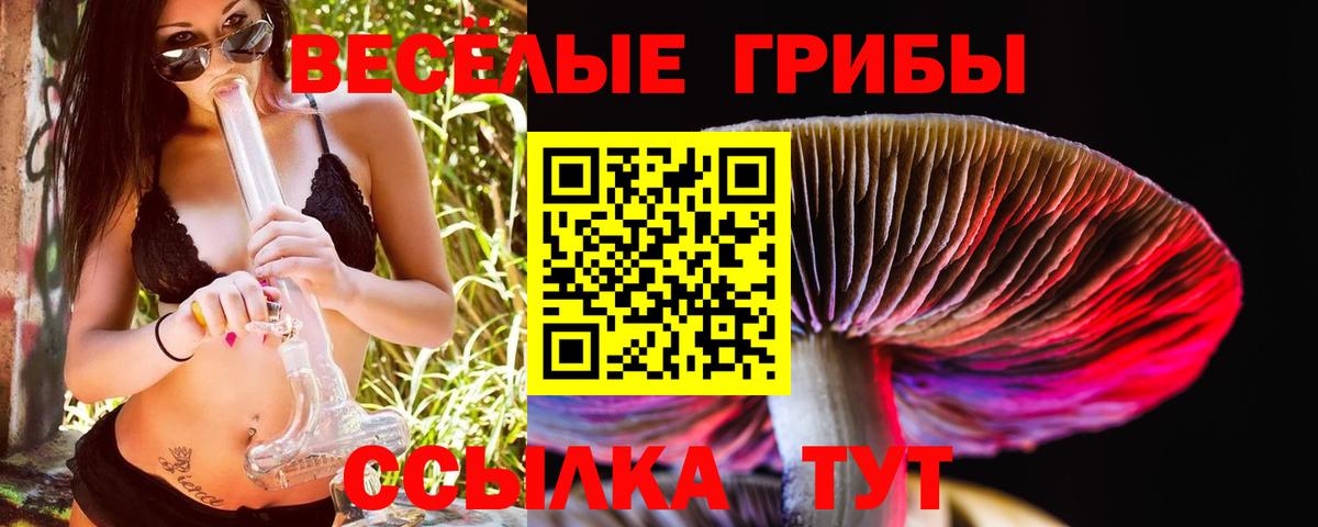 Псилоцибиновые грибы Magic Shrooms Урай